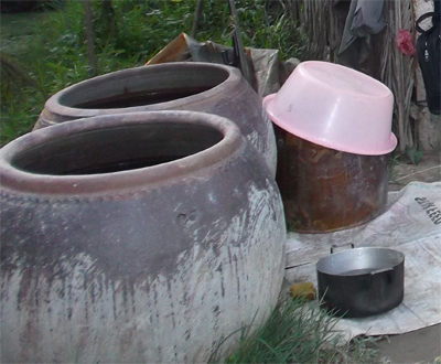 Cháu dùng thuốc sâu đầu độc ông bà ngoại vì 